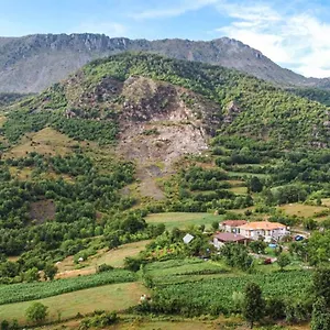 Disha , Tirana Albanië